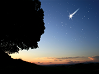 selbstgewähltes Foto der MA zeigt einen Baum und einen Sternenhimmel mit Sternschnuppe
